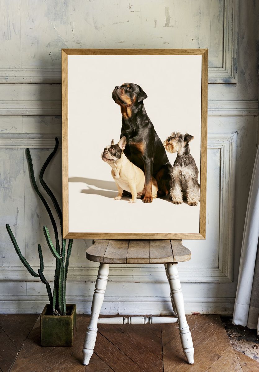 Three Dogs Portrait Poster. room preview