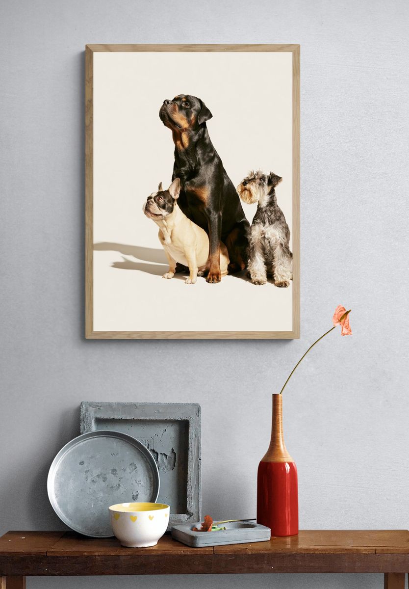 Three Dogs Portrait Poster. — room view 3
