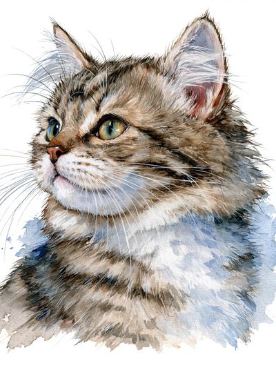 Watercolor Cat Portrait Print.