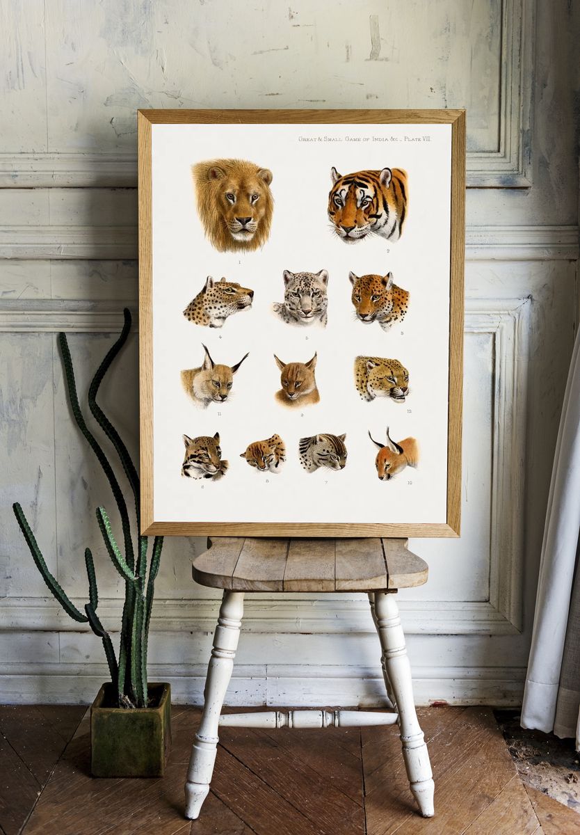 Wild animal, safari lithograph. Digitally. — room view 1