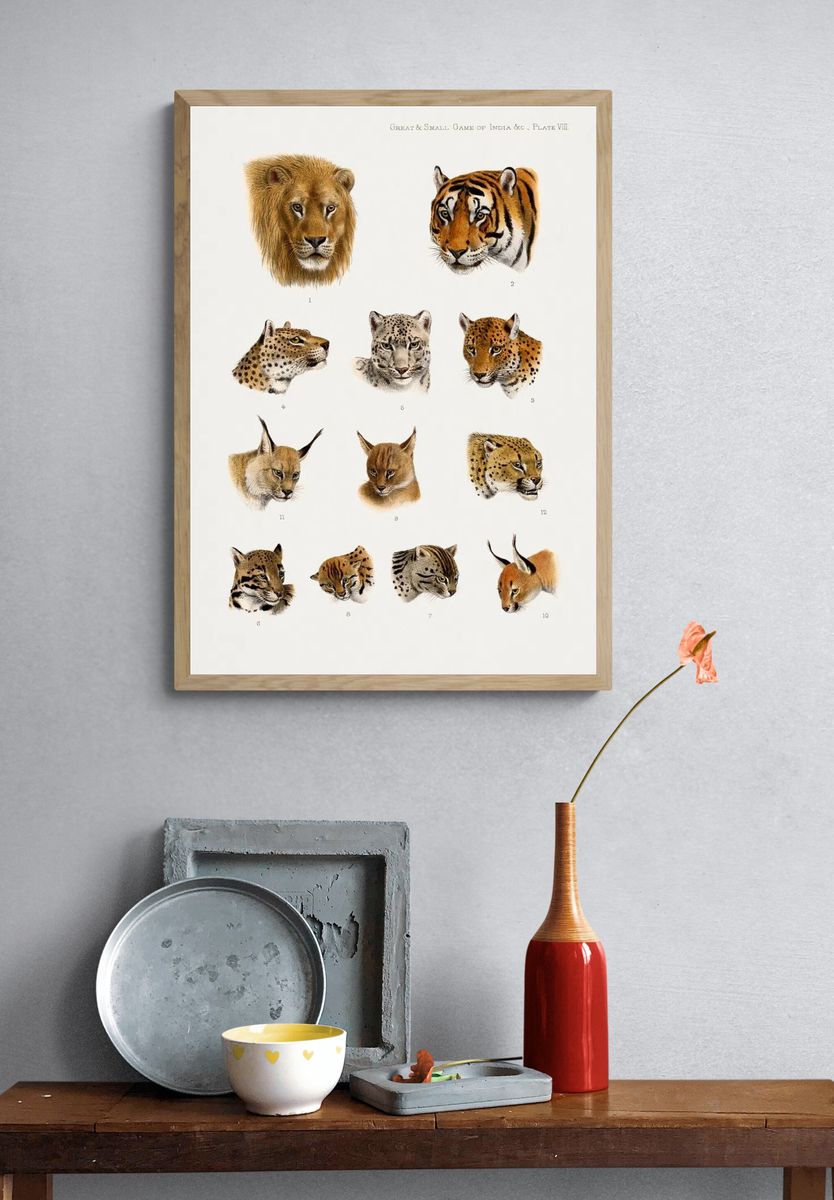 Wild animal, safari lithograph. Digitally. — room view 3