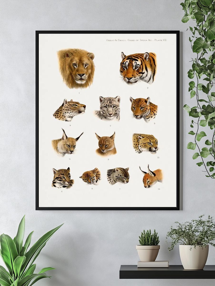Wild animal, safari lithograph. Digitally. — room view 4