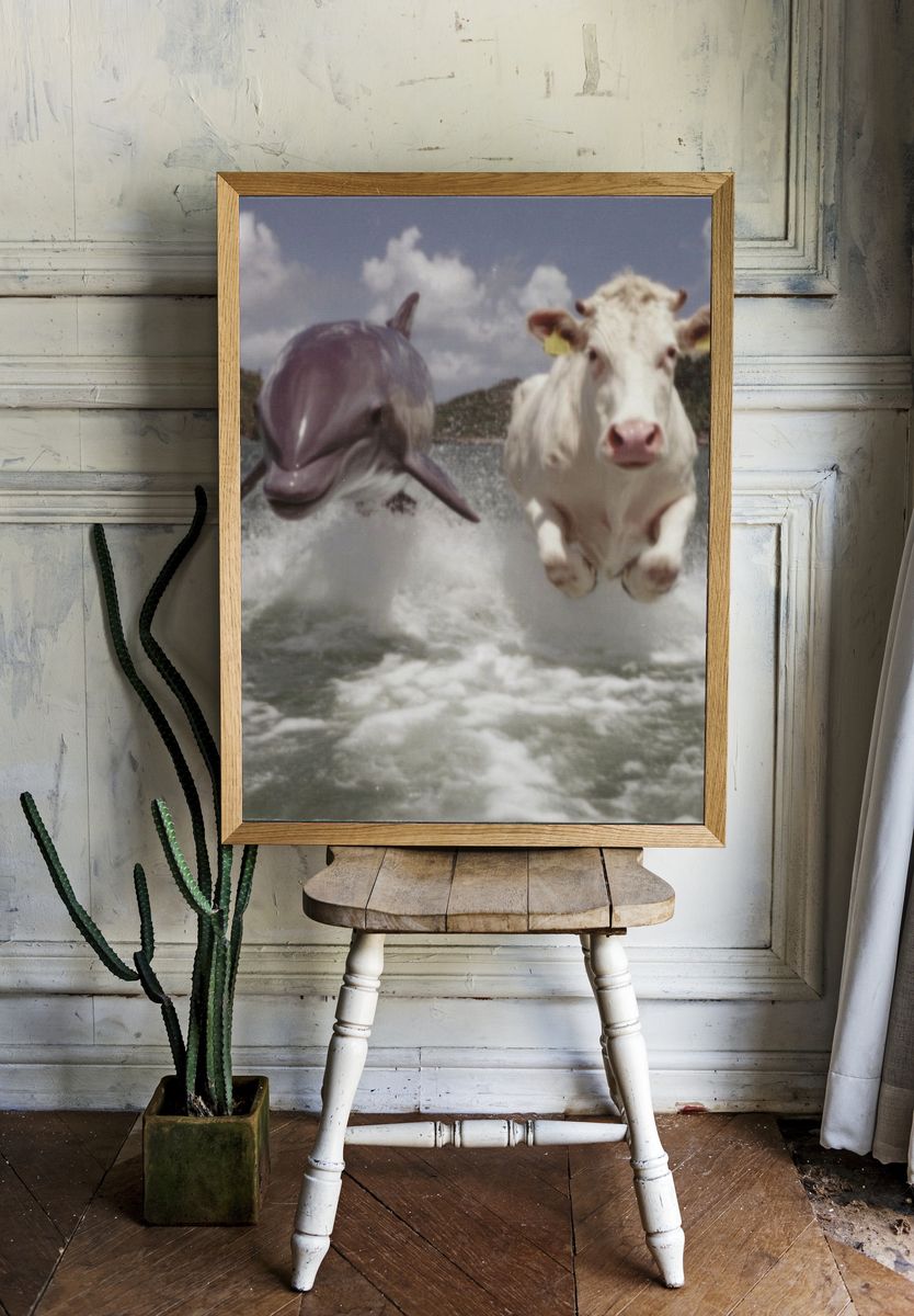 Cow and Dolphin Splash Poster. room preview