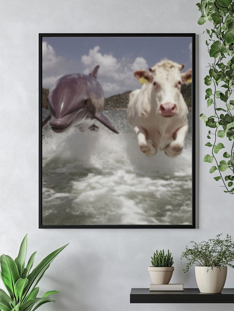 Cow and Dolphin Splash Poster. — room view 4