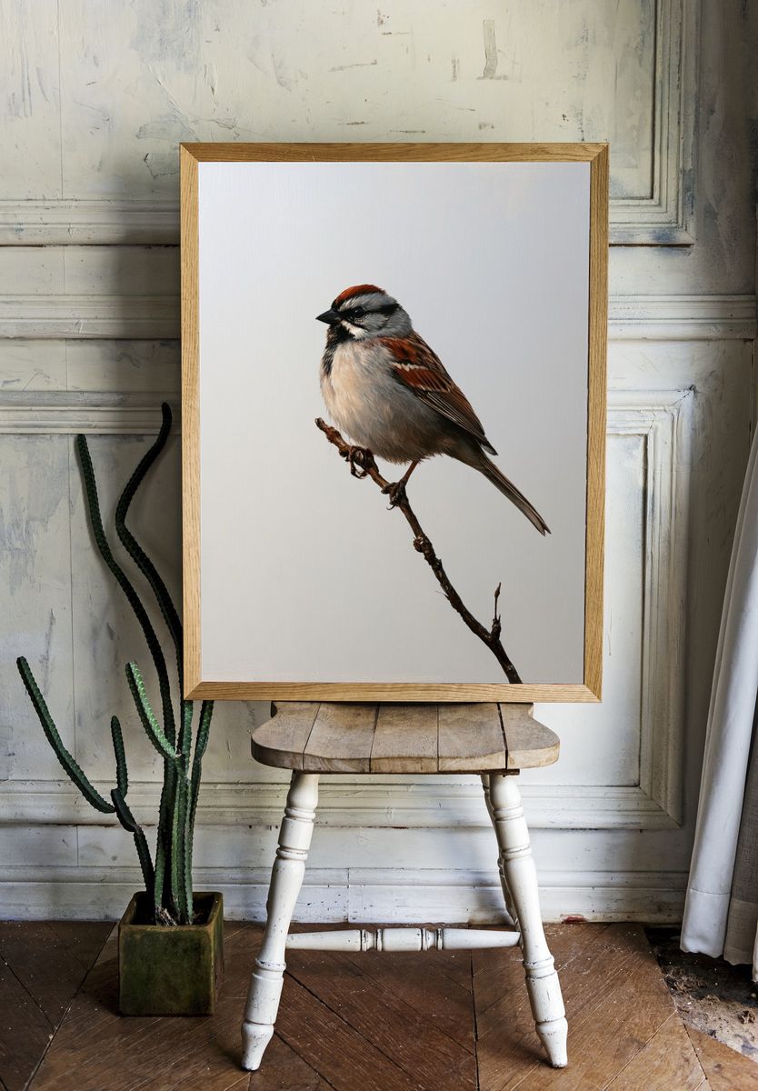 Sparrow on Branch Photography Poster. room preview
