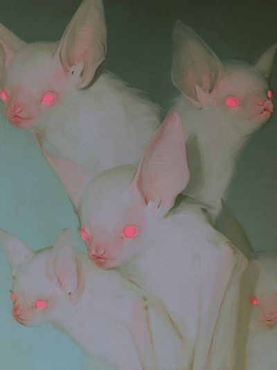 Glowing Fennec Foxes Surreal Print.