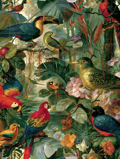Tropical Birds Botanical Print.