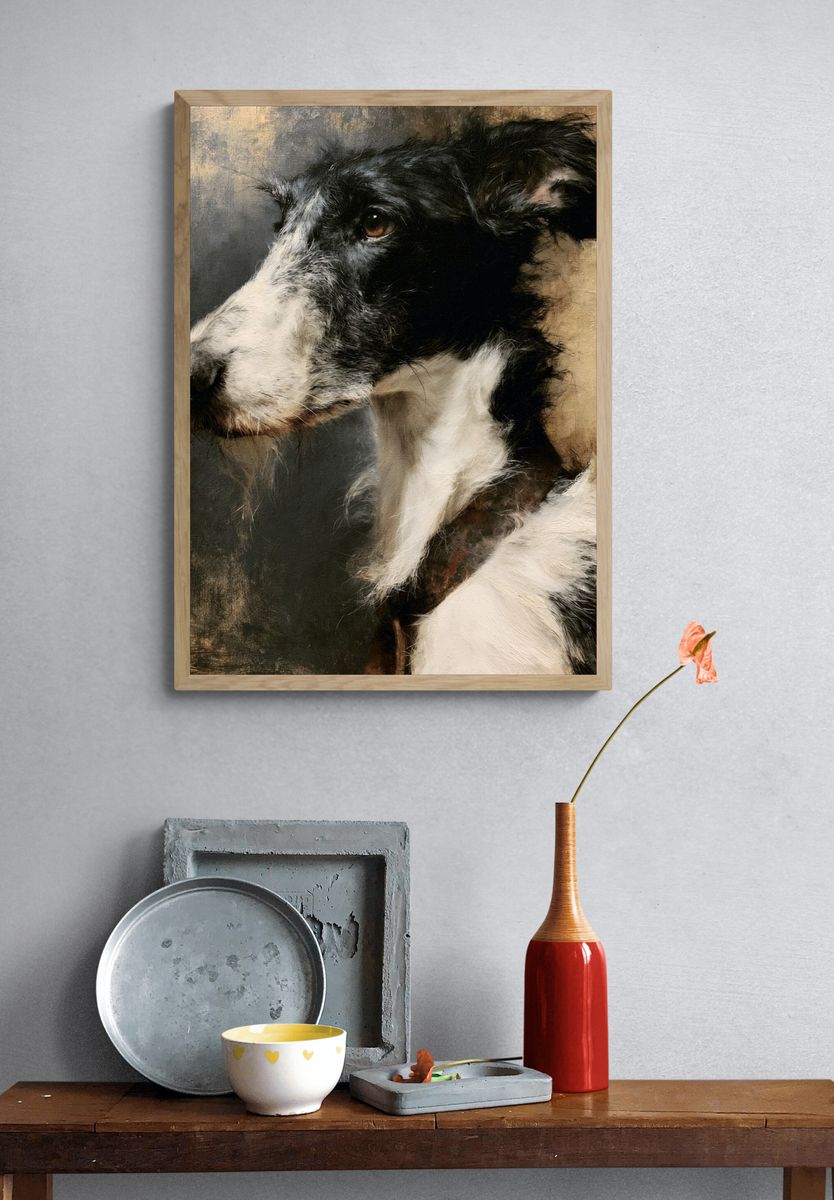 Border Collie Portrait Print. — room view 3