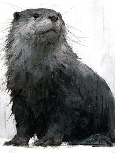 Otter Portrait Illustration Poster.