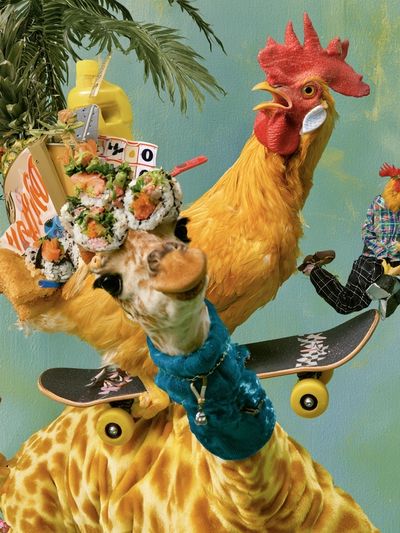 Surreal Chicken Skateboard Print.