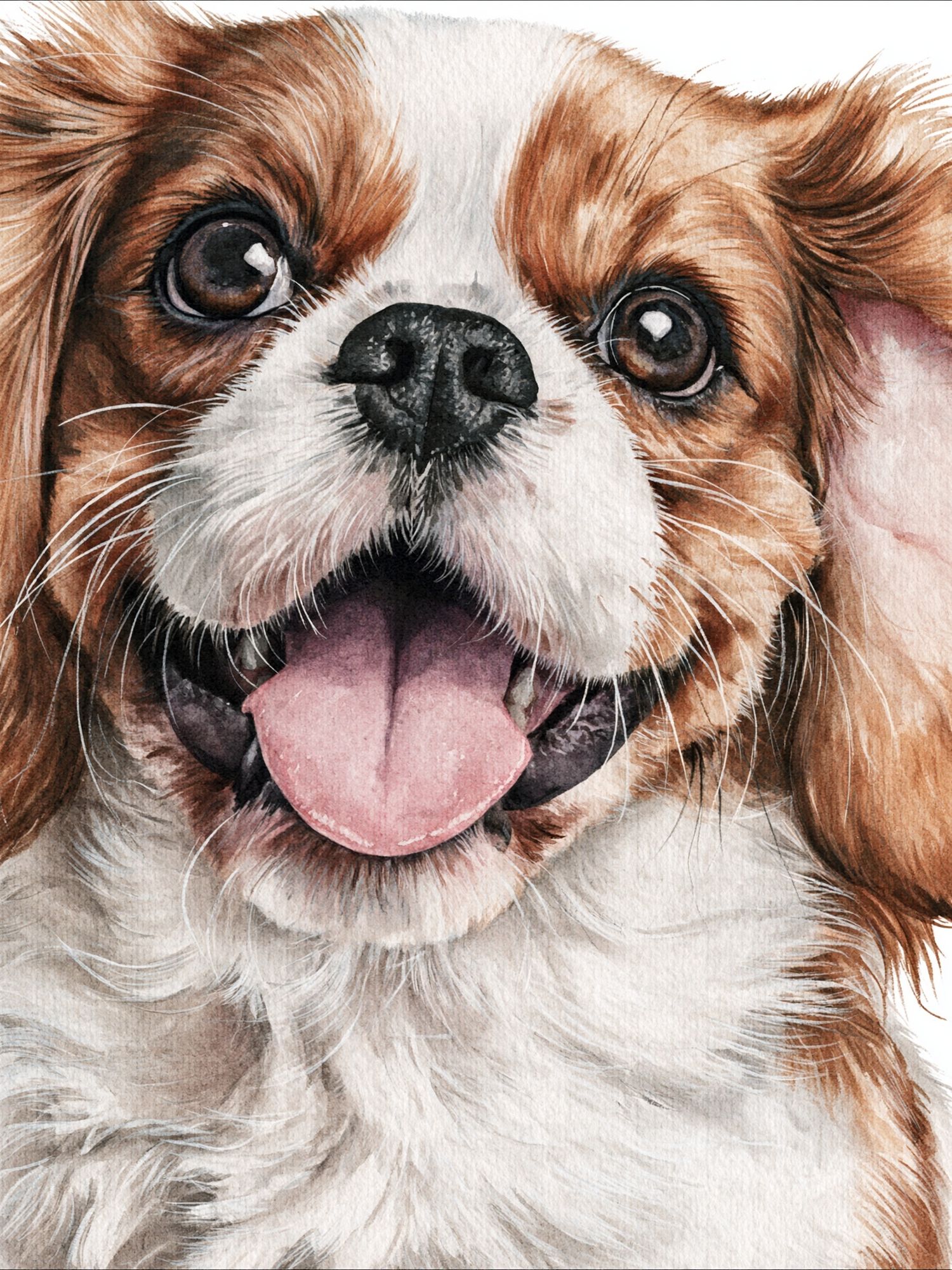 Cavalier King Charles Spaniel Watercolor Poster. poster — animals art