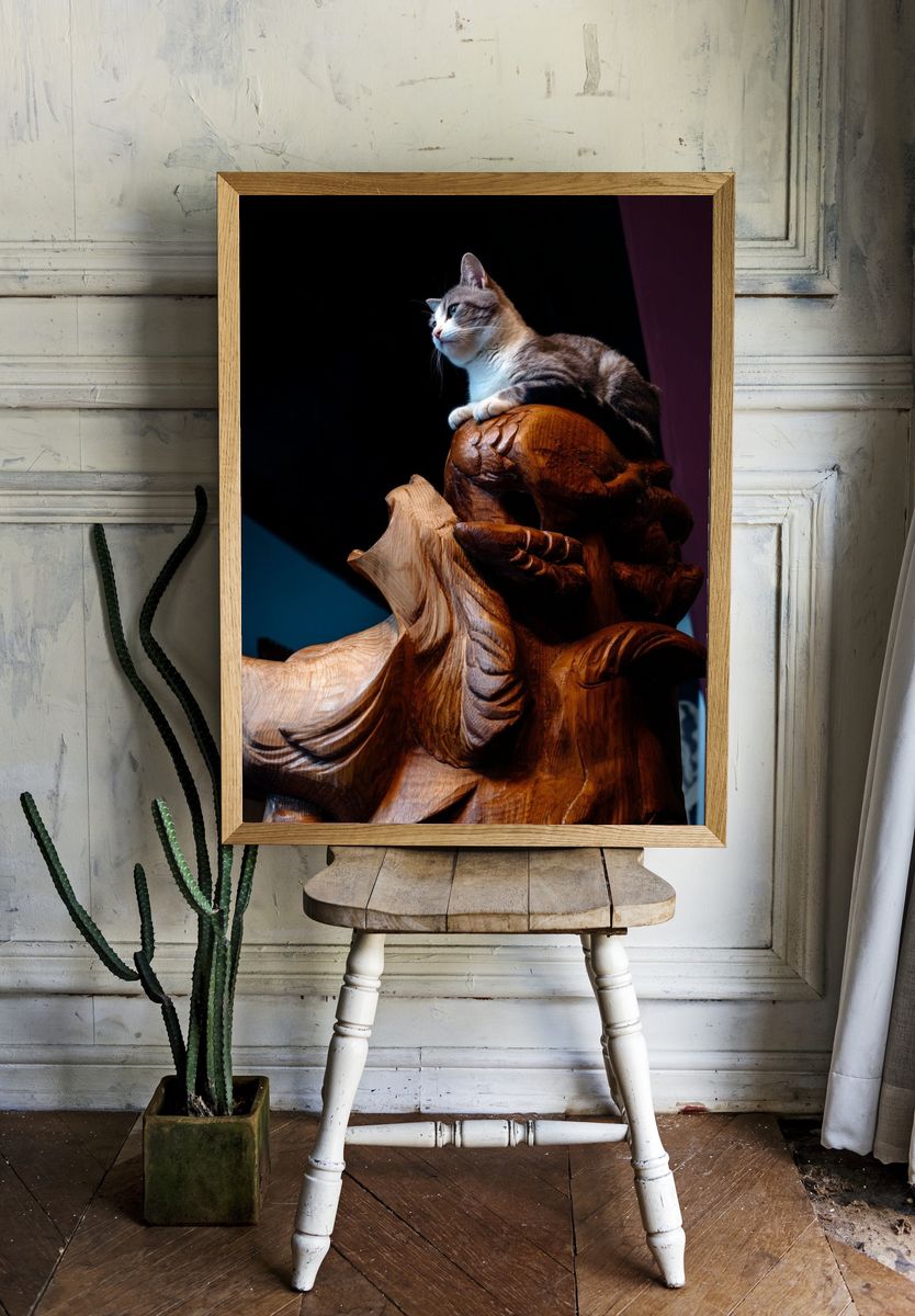 Cat on Carved Wood Photography Poster. room preview