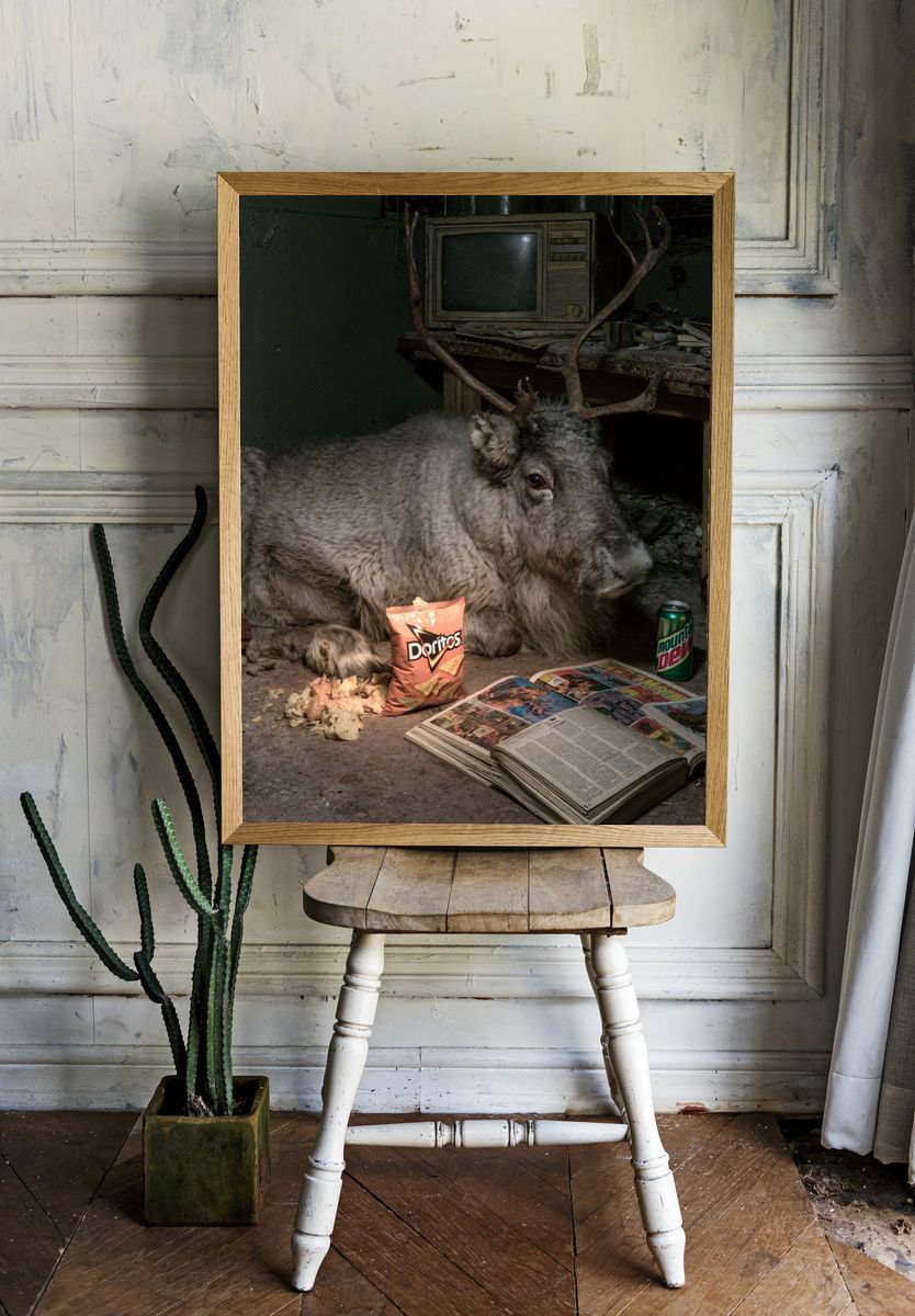 Reindeer in Abandoned Room Print. — room view 1