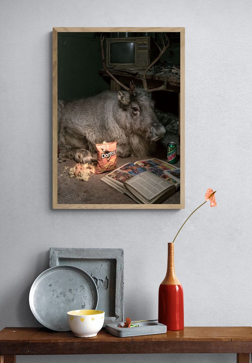 Reindeer in Abandoned Room Print. — room view 3