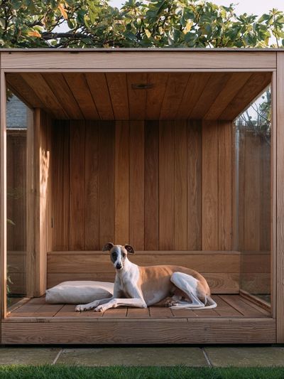 Greyhound in Wooden Garden Shelter Poster.