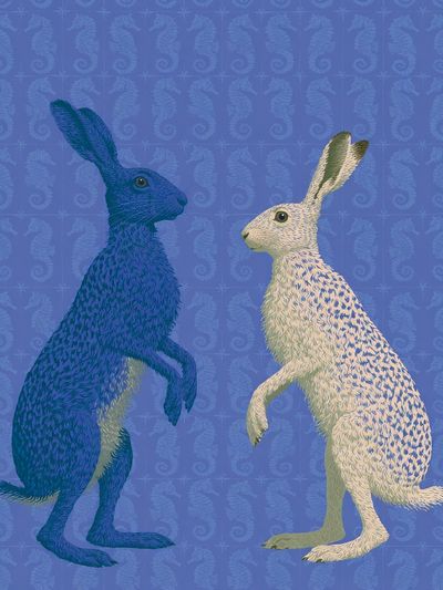 Blue and White Hares Illustration Poster.