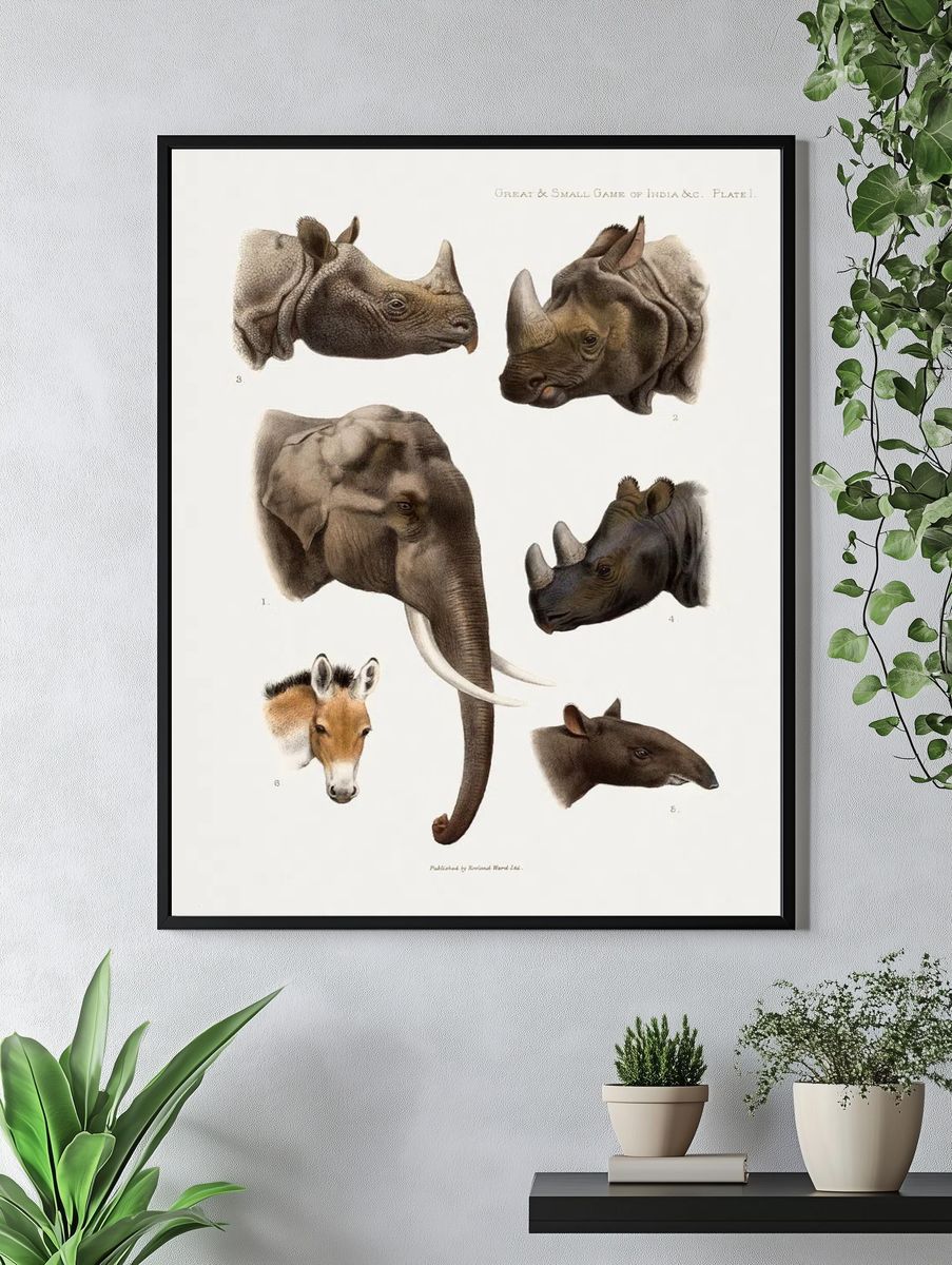 Vintage animal illustrations. — room view 4