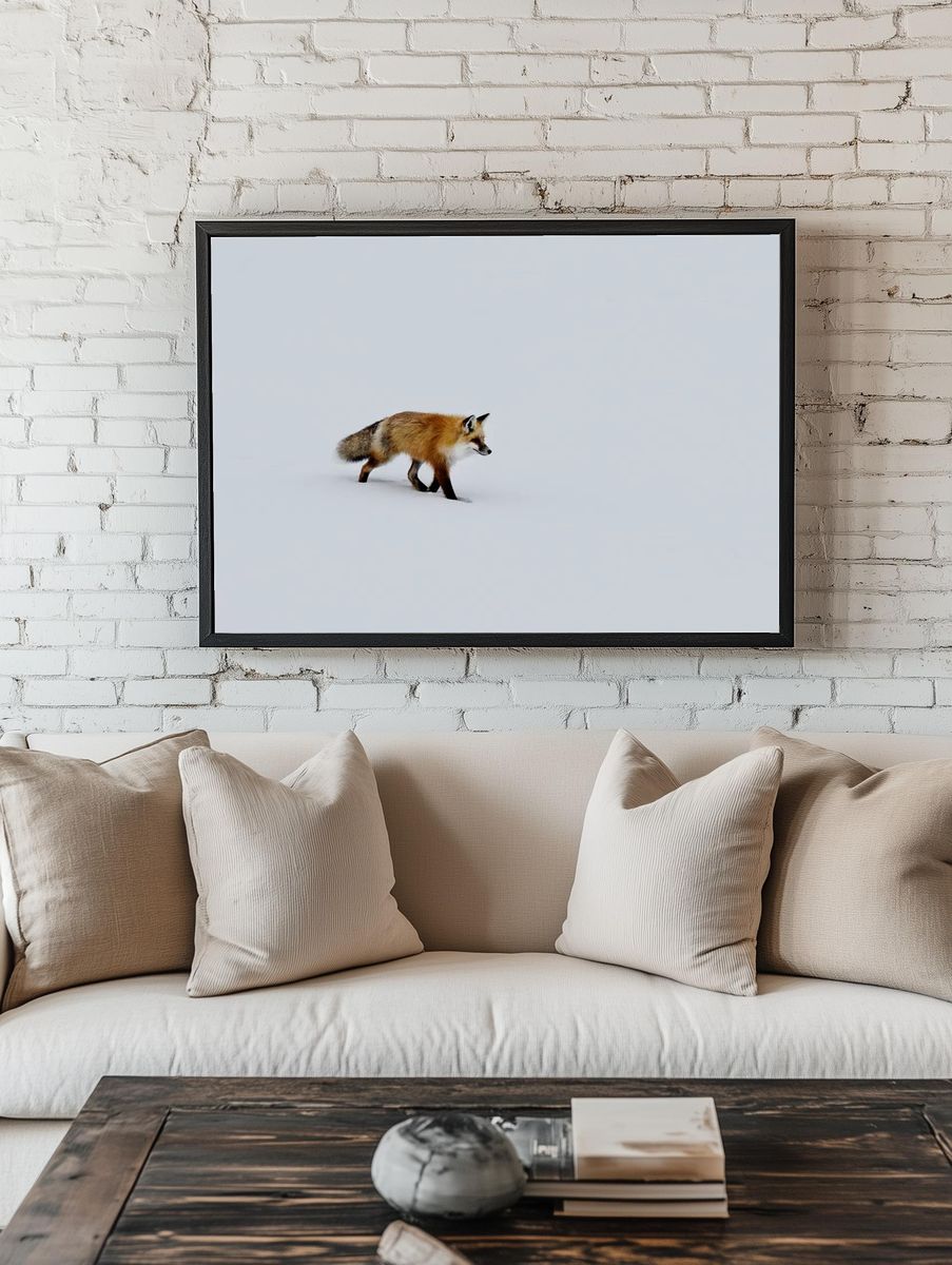 red fox prowls voles, hidden. room preview