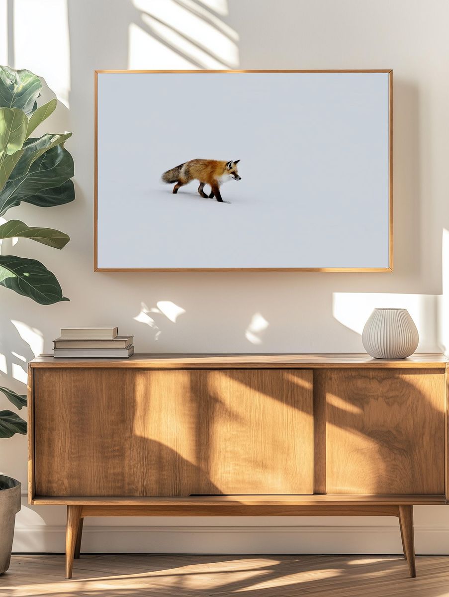 red fox prowls voles, hidden. — room view 3