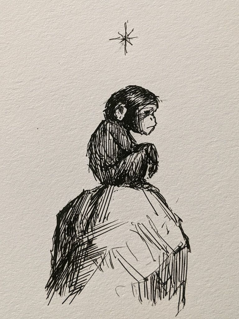 Monkey on Rock Ink Print. poster detail