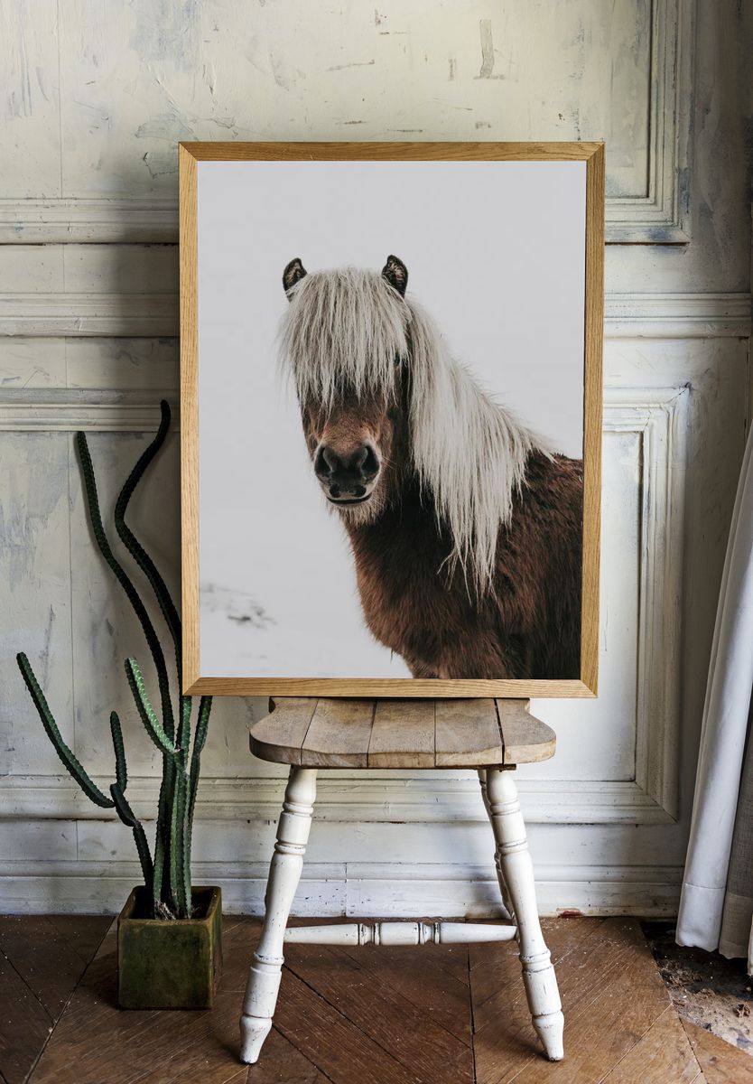 Horse. room preview