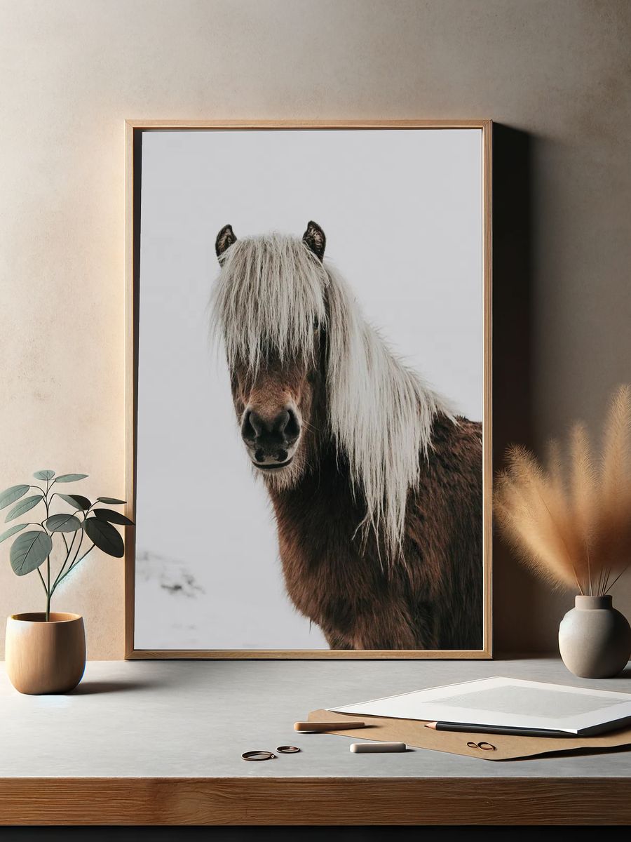 Horse. — room view 2
