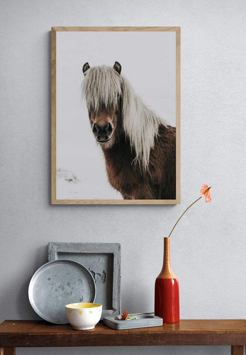 Horse. — room view 3