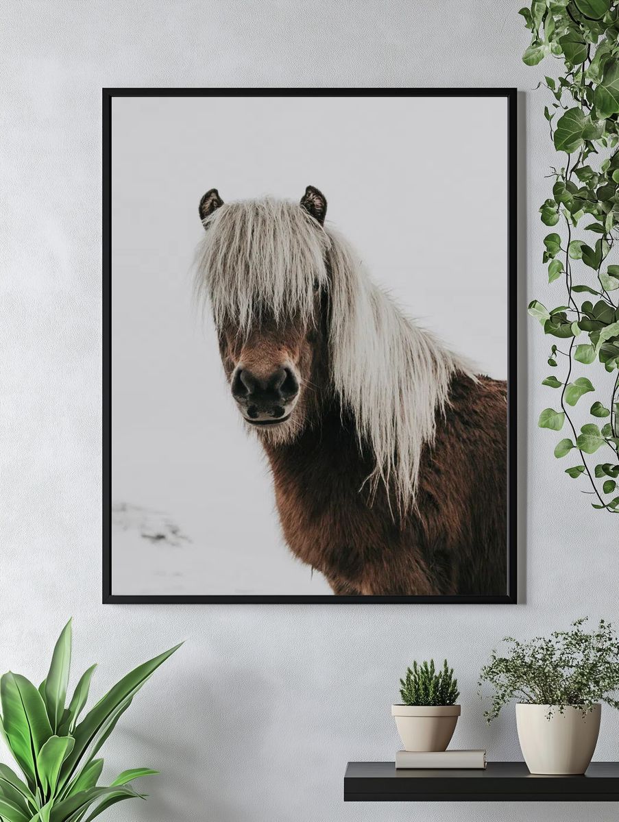 Horse. — room view 4