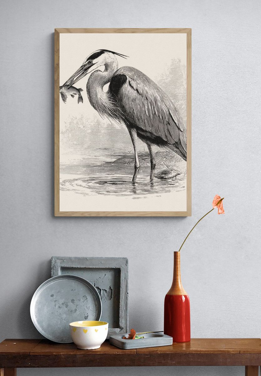 Heron Fishing Ink Print. — room view 3