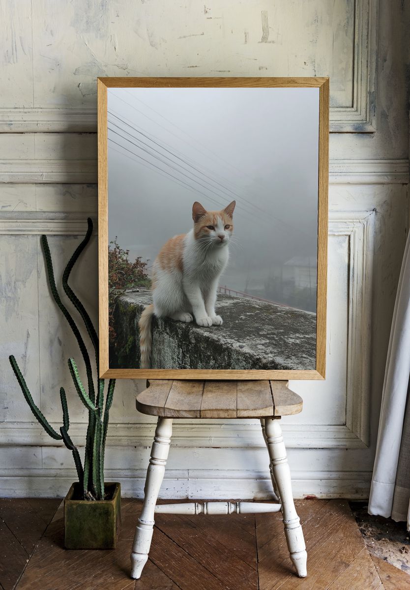 Foggy Cat Portrait Print. room preview