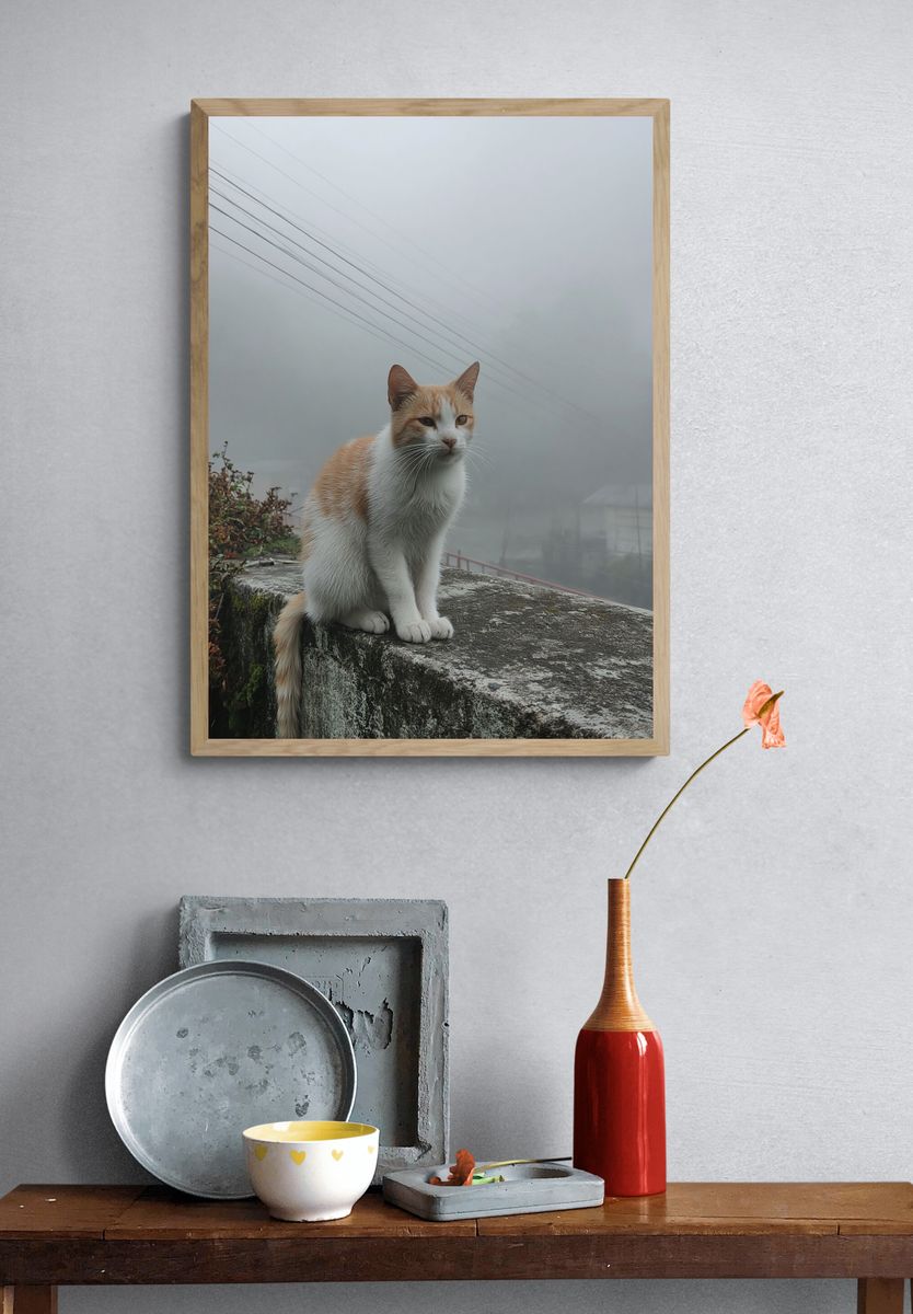 Foggy Cat Portrait Print. — room view 3