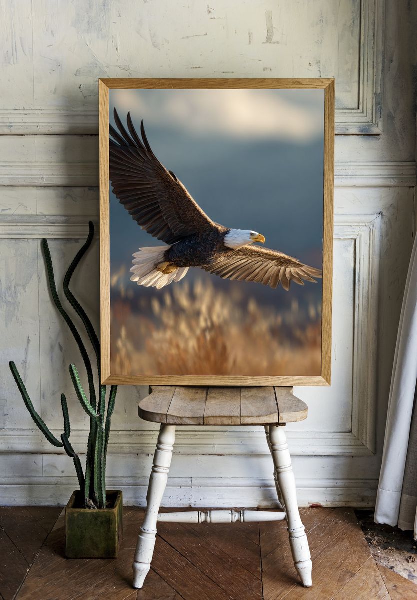 Bald Eagle in Flight Photography Poster. — room view 1