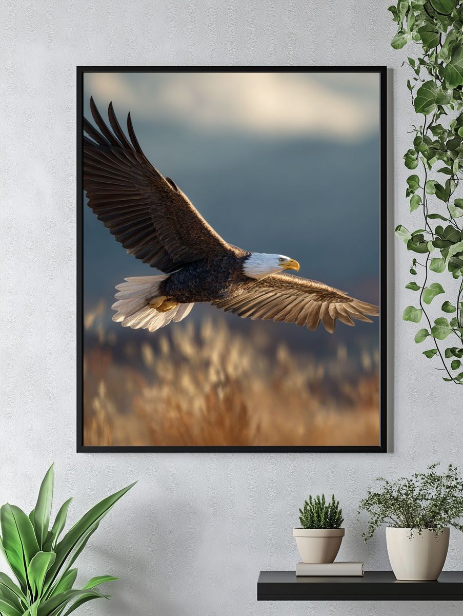 Bald Eagle in Flight Photography Poster. — room view 4