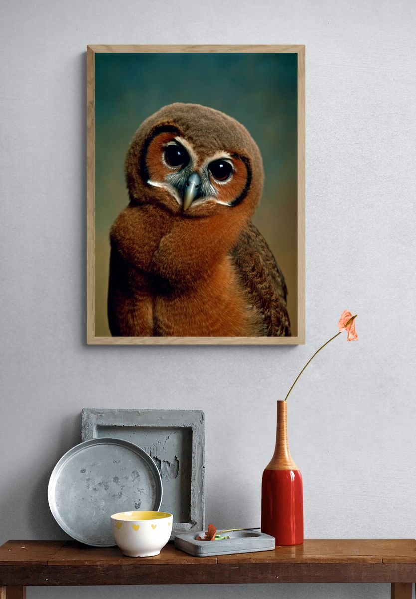 Cute Owl Portrait Poster. — room view 3