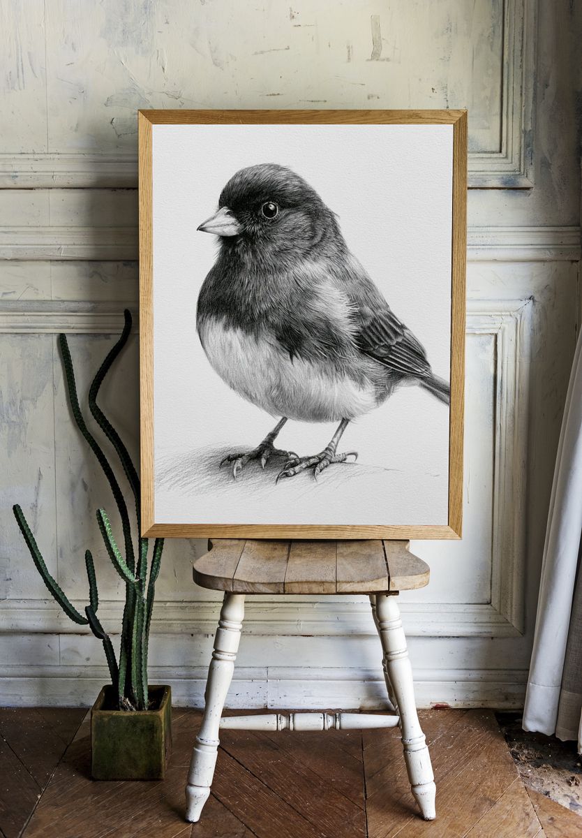 Songbird Pencil Sketch Poster. room preview