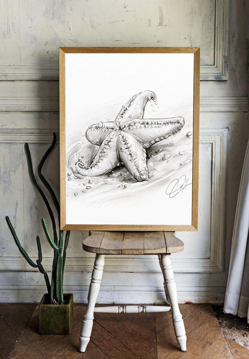 Starfish Sketch Poster. room preview