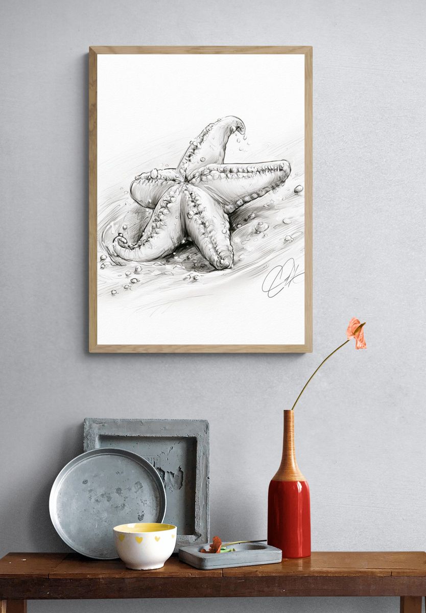 Starfish Sketch Poster. — room view 3