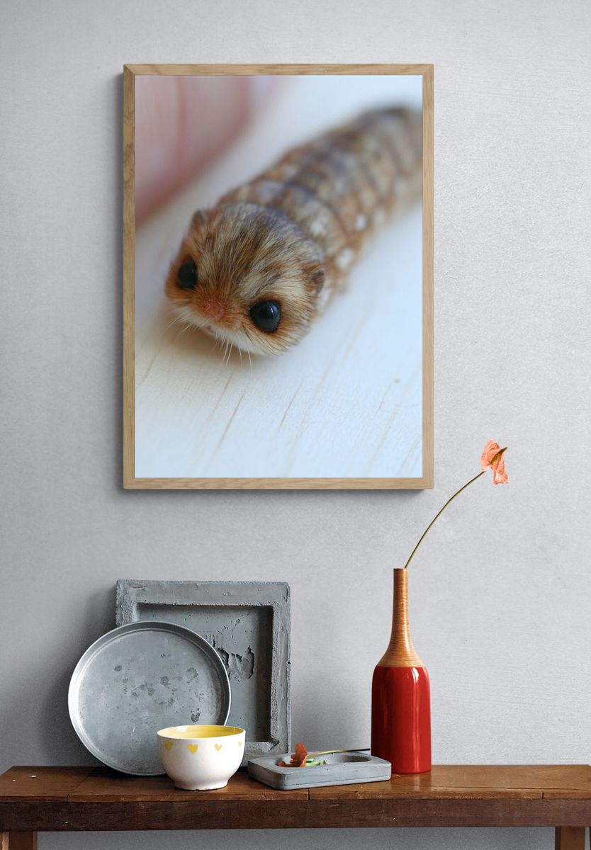 Cute Caterpillar Photography Poster. — room view 3