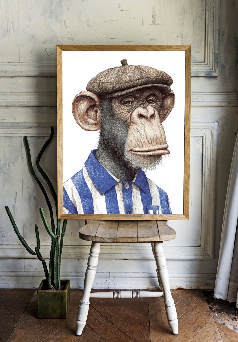 Chimpanzee Portrait Illustration Poster. — room view 1