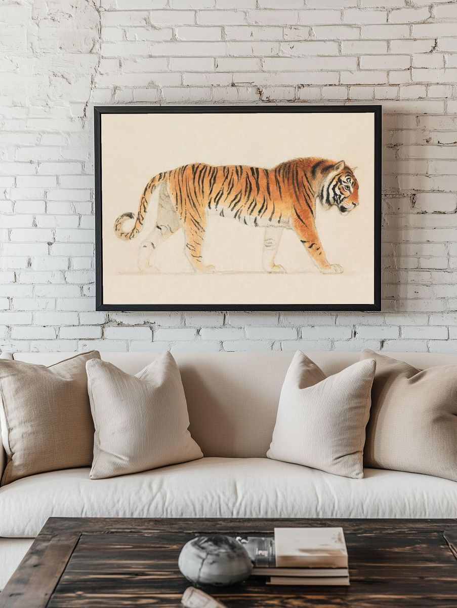 Tiger, Full-Length, Profile, Walking Towards. — room view 1