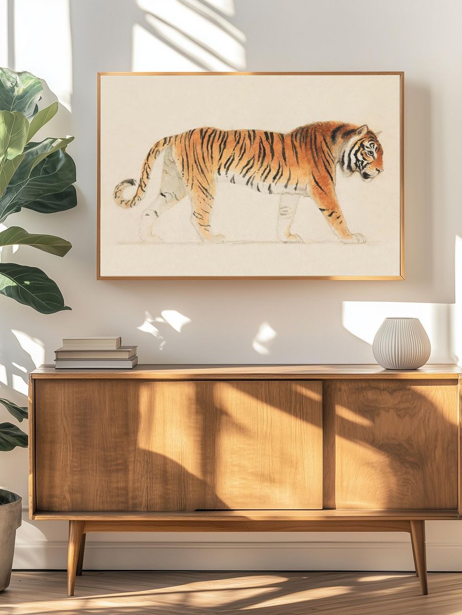 Tiger, Full-Length, Profile, Walking Towards. — room view 3