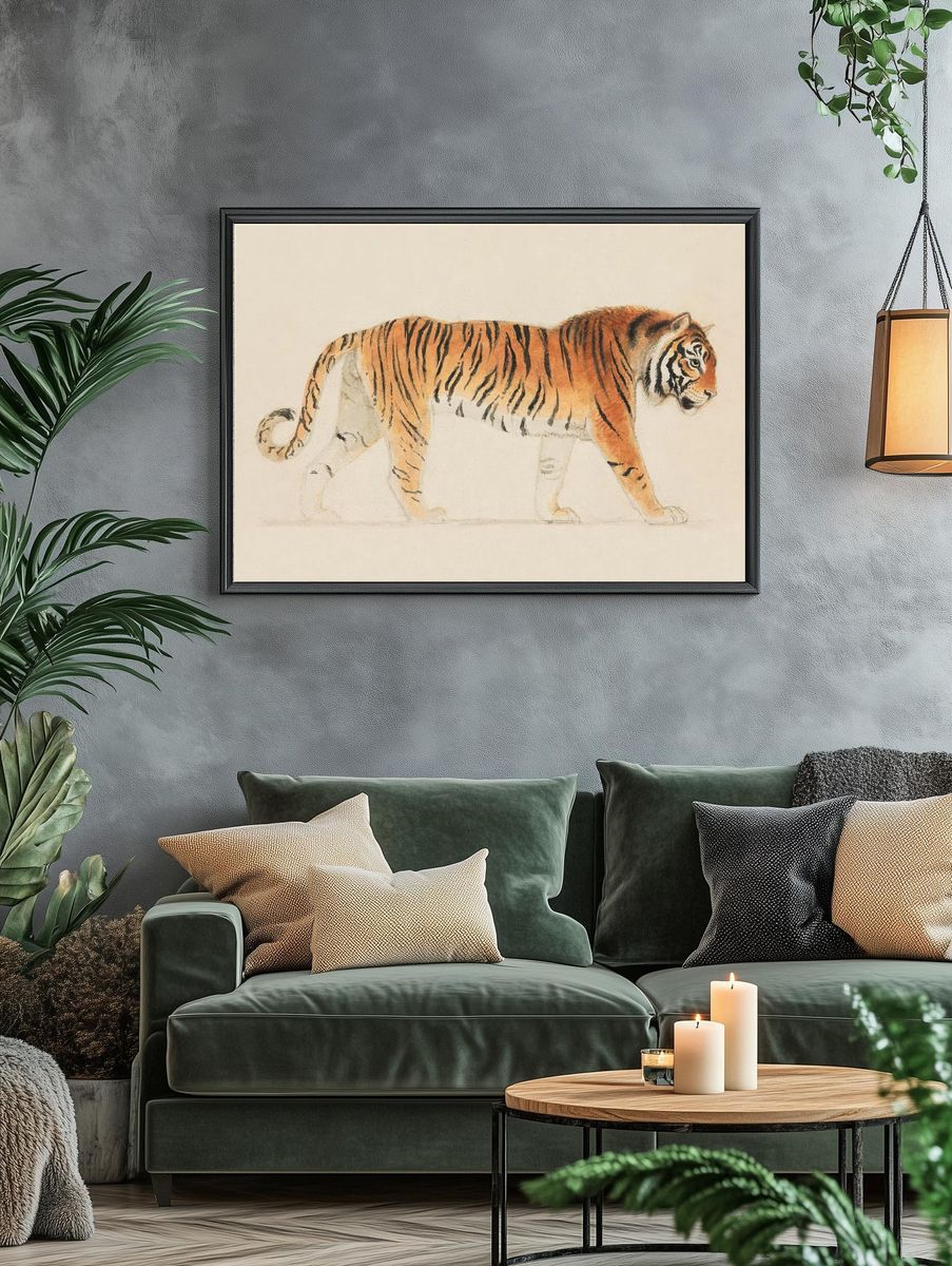 Tiger, Full-Length, Profile, Walking Towards. — room view 4