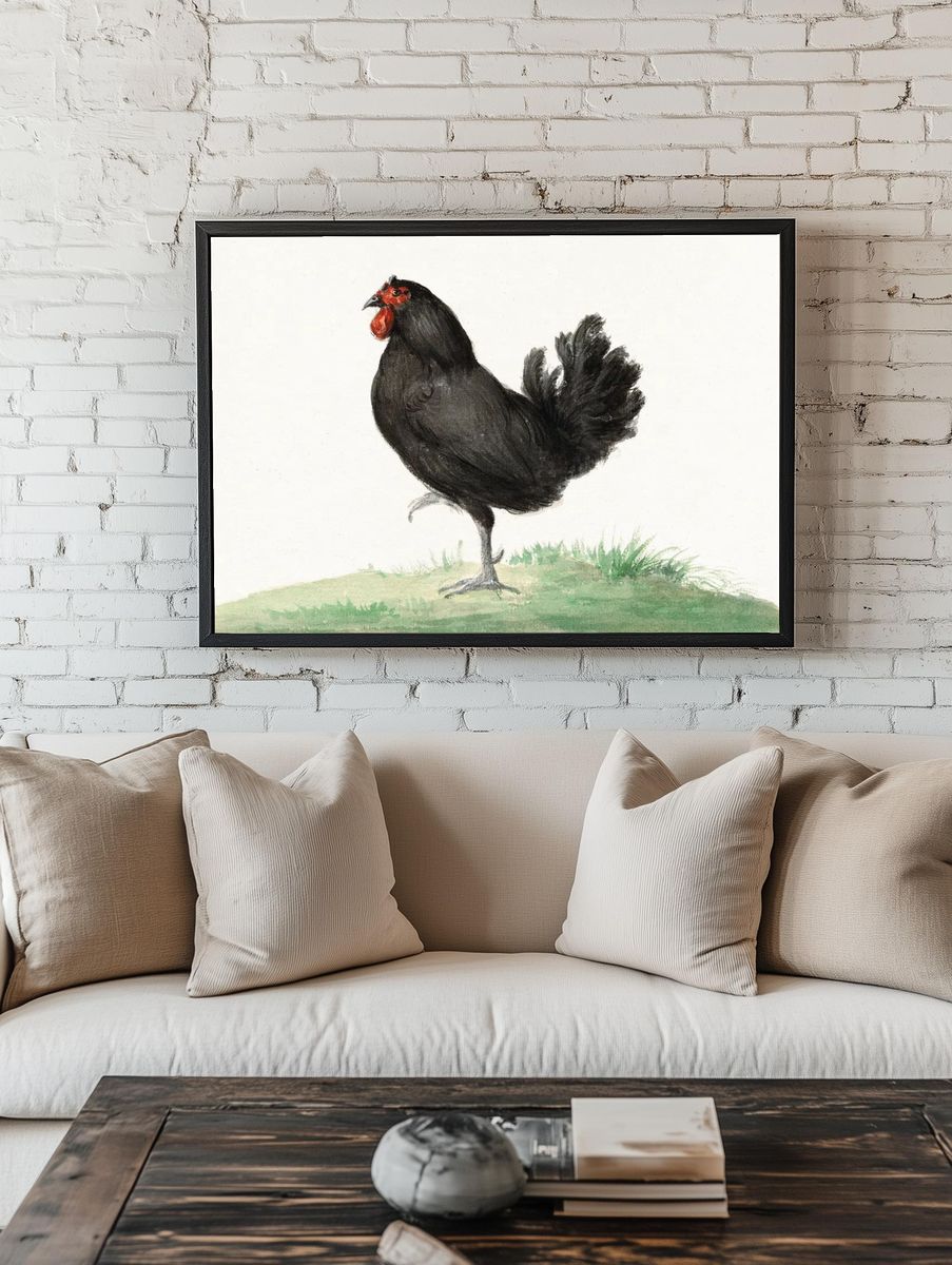 Standing black chicken (1775–1833) drawing. room preview