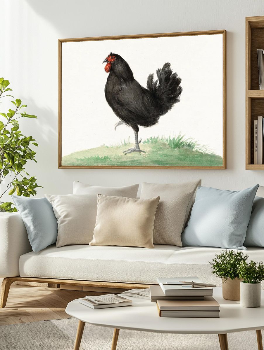 Standing black chicken (1775–1833) drawing. — room view 2