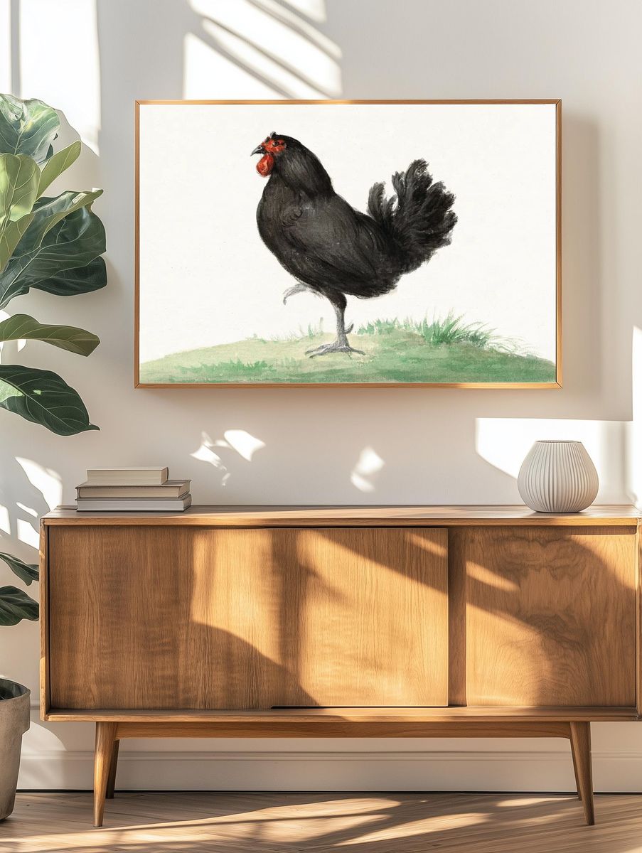 Standing black chicken (1775–1833) drawing. — room view 3