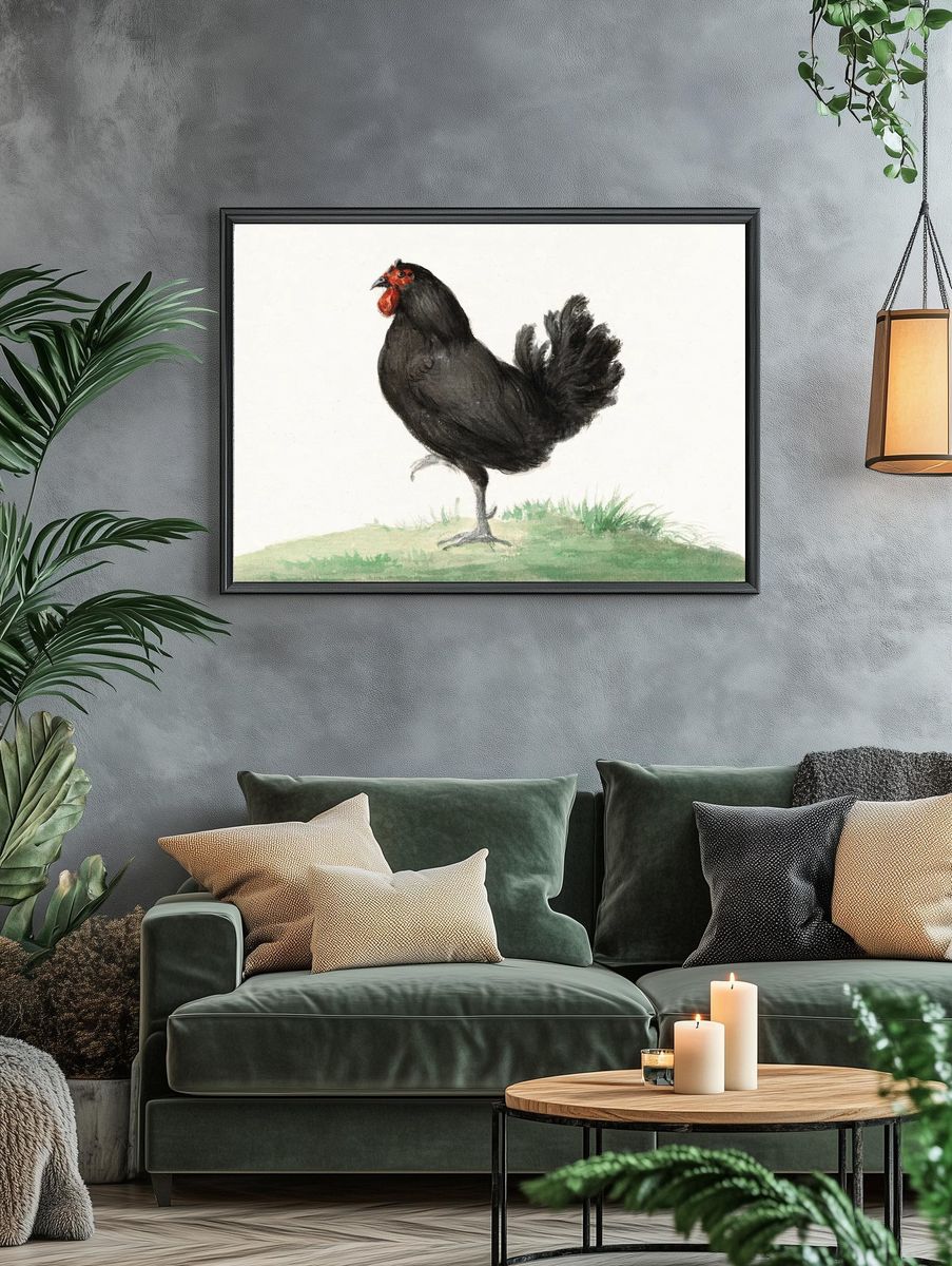 Standing black chicken (1775–1833) drawing. — room view 4
