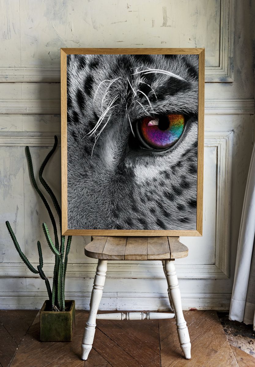 Rainbow Tiger Eye Photography Poster. room preview
