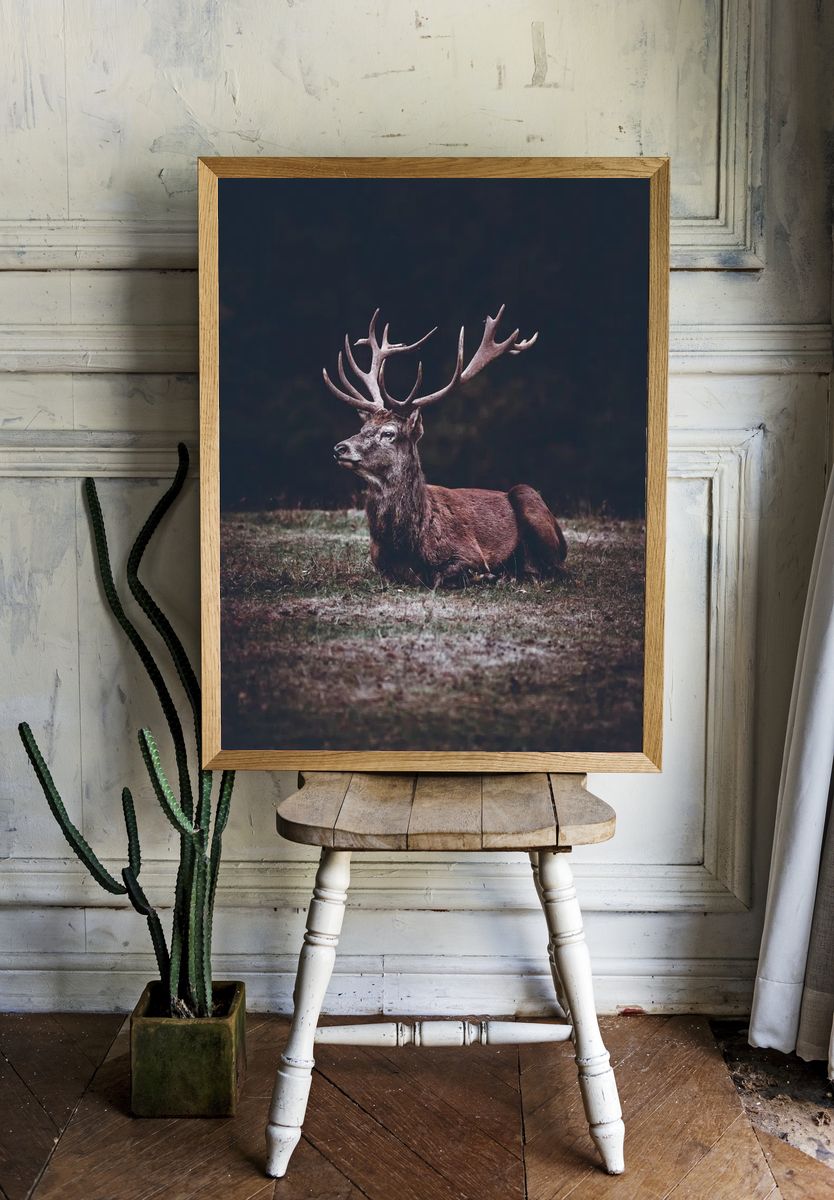 Majestic Stag Portrait Print. — room view 1
