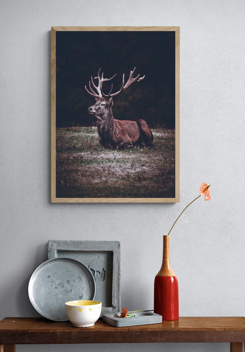 Majestic Stag Portrait Print. — room view 3