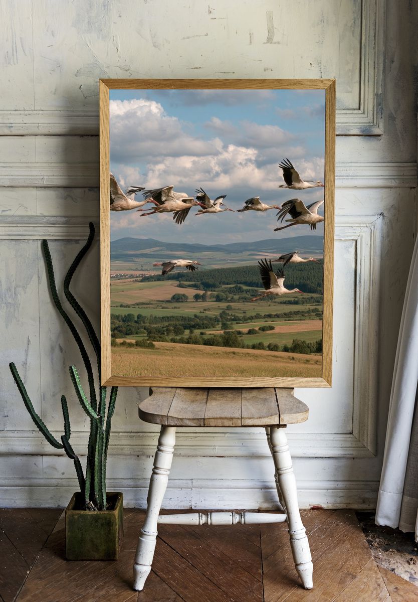 Flying Storks Over Countryside Poster. room preview